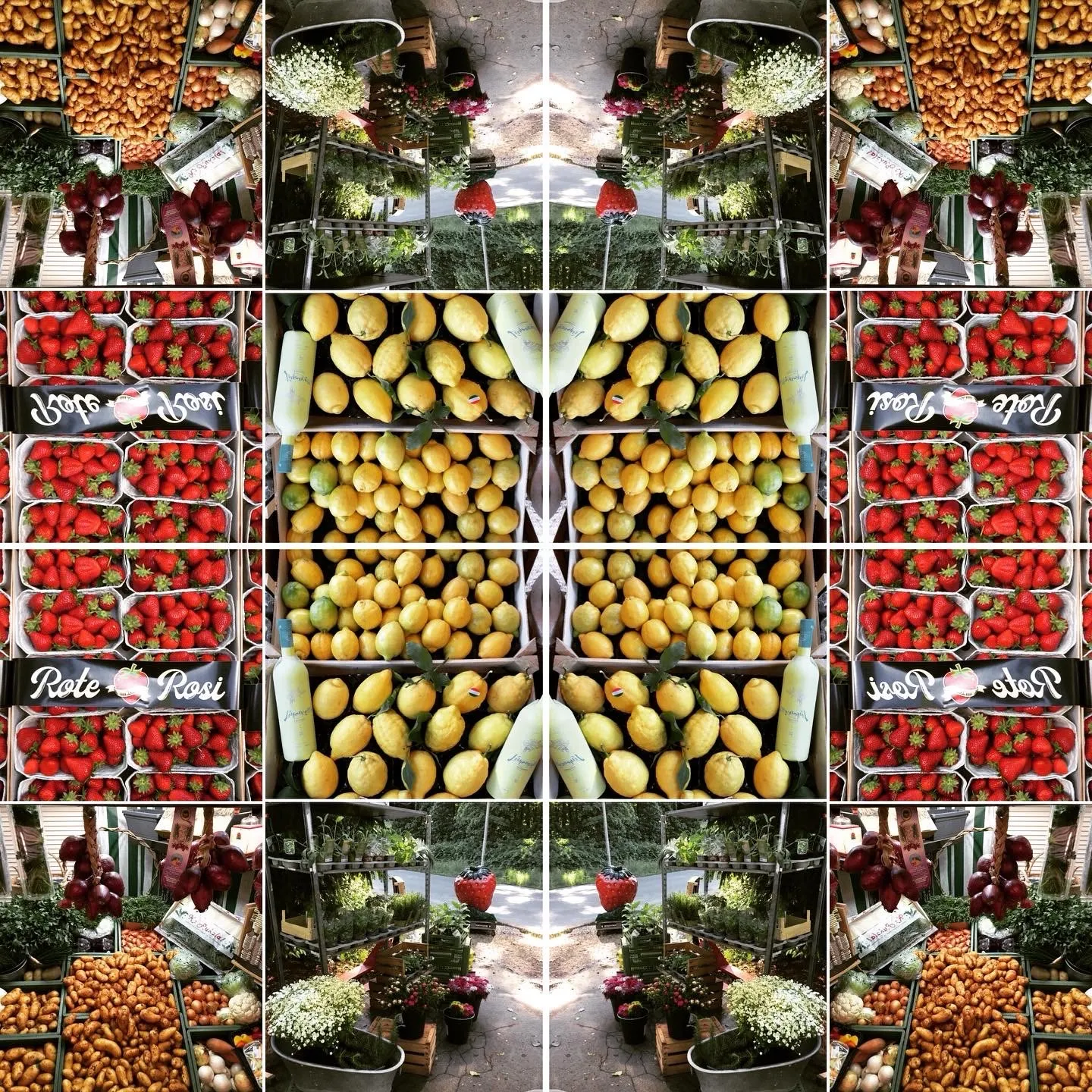 Frische Auslage mit Zitronen, Tomaten, Erdbeeren und Obst am Marktstand