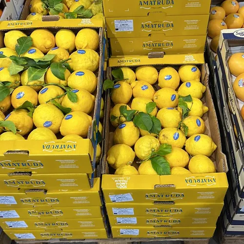 Italienische Bio-Zitronen