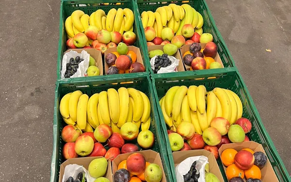 FRUIT.LOVE Bio-Obstkiste Feucht